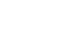 biale-movement-dance-studio-logo-orange-250x169px